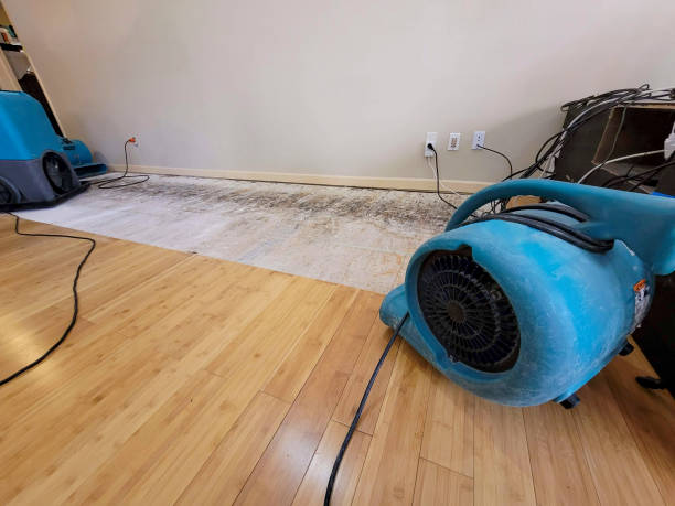 Professional Structural Drying technician working in Battle Ground, IN